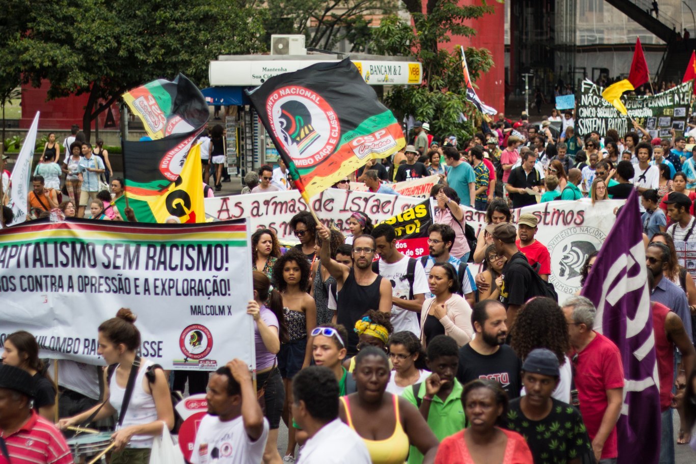 Marcha da Consciência Negra, São Paulo, 2014