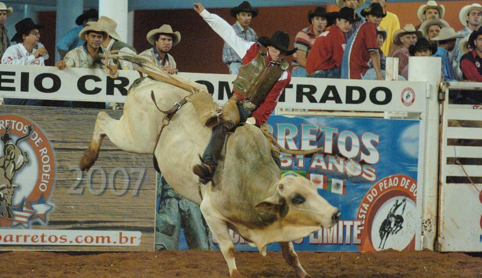 Rodeio, a estrela da Festa do Peão de Barretos - Cavalus